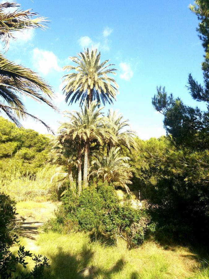 Apartament Playa Arenales Lejlighed Arenales del Sol Eksteriør billede